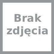 Wkład kominkowy Godin 364111